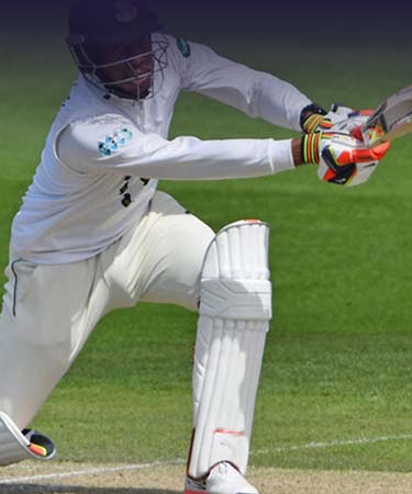 Sussex County Cricket Club Case Study